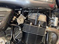 NORTON DOMINATOR