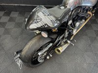 NORTON DOMINATOR