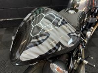 NORTON DOMINATOR