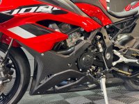 BMW S1000RR