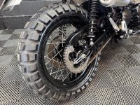 TRIUMPH Scrambler