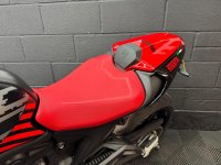 DUCATI Monster