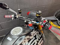 DUCATI Monster