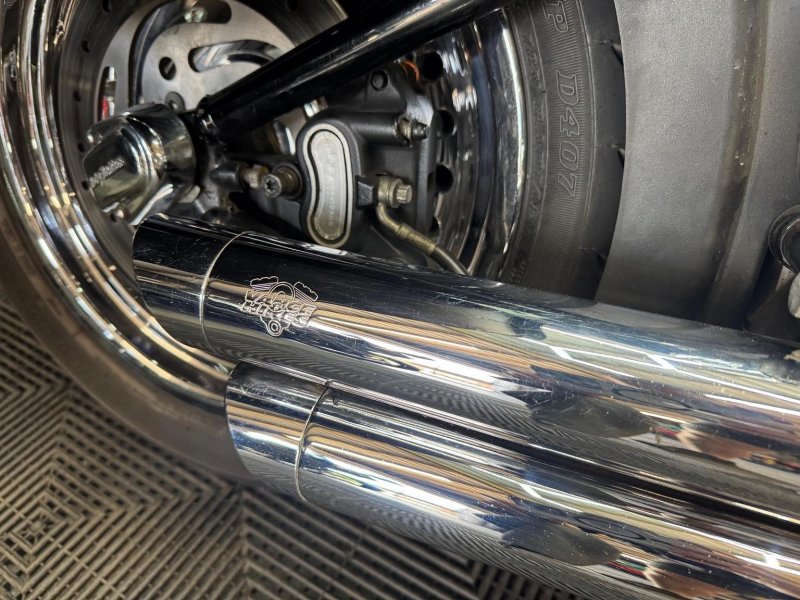 HARLEY-DAVIDSON Softail