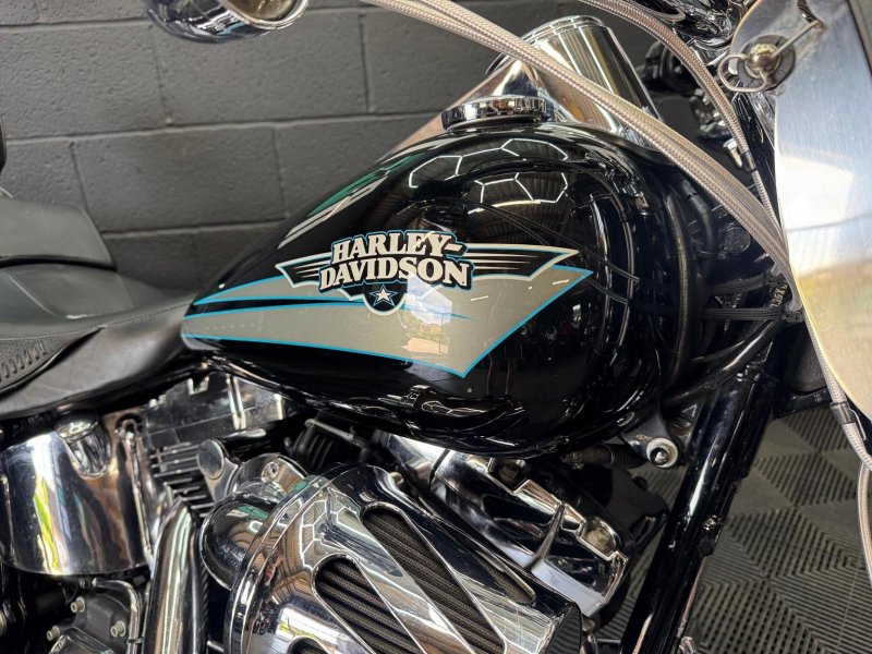 HARLEY-DAVIDSON Softail