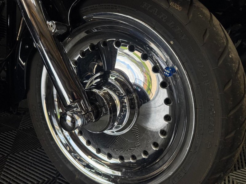HARLEY-DAVIDSON Softail