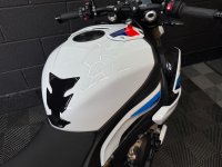 BMW S1000R